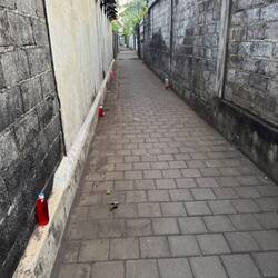 Bottles: folk remedy to deter dogs from fouling - belief is they don’t like red, reflective liquid.