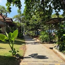 The peace of the pedestrian/cycleway alongside Sanur beach lined with resorts and restaurants