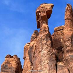 Also ich sehe hier einen Alien 👽