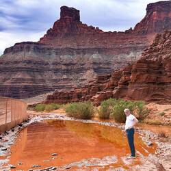 Wenn der Meister persönlich die Lage checkt ...
