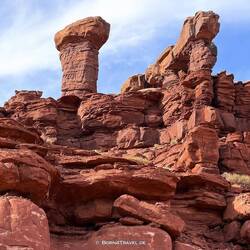 Was sich die Natur aber auch für Meisterwerke einfallen lässt...