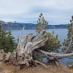 Leider nichg deep blue sondern grey.