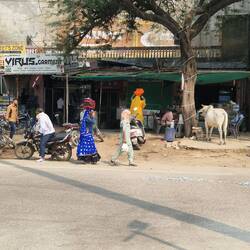 Ladies carrying goods on their heads