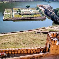 Beautiful gardens but sad to see elephants transport people