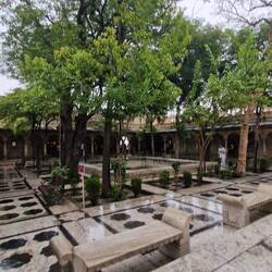 The 4th floor actually 1st floor at this point built round the trees