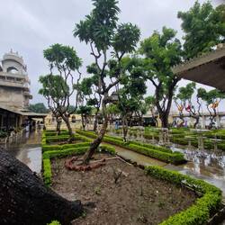 At the Palace in the lake