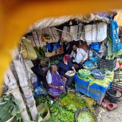 Home and shop under canvas