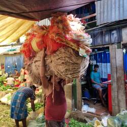 Transporting stuff !