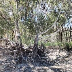 Veel grond weggeslagen door flinke waterpeilverhoging