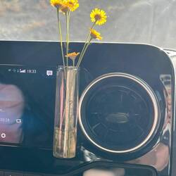 The flower of the day❤️