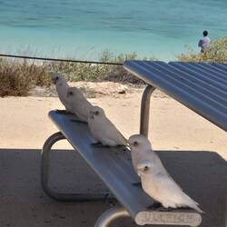 Hier ist schon besetzt