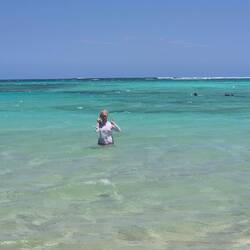 Beim Schnorcheln haben wir aber Platz in der Osprey Bay
