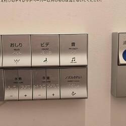 Toilet buttons, even plays privacy music if you're a loud pooper