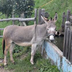 Tierisch viel los am Weg.