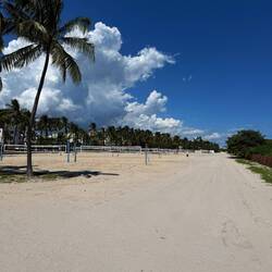 Miami Beach 🏝️