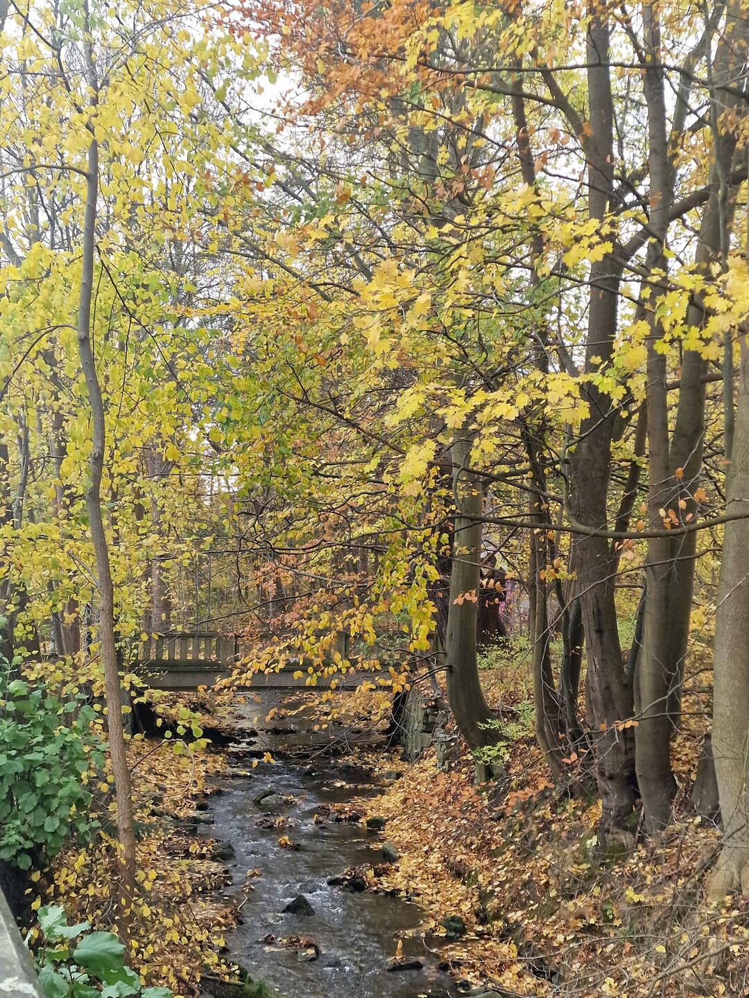 40 km Fahrradtour