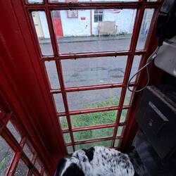 Looking to the old post office