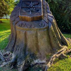 Memorial to a cypress tree that was uprooted during a convective storm in August 2019 — Pallanza.