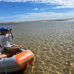 Watching flamingos and spoonbills (our camera took too lousy pictures of them)