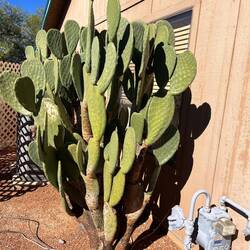 Our guard against would be thieves