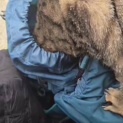 One cat bit my croissant while the other almost stole my entire lunch bag!