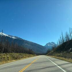 Fahrt durch das Tal der Kontraste – schwarze Baumstämme und dahinter die ewigen Berge.