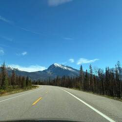 Auf dem Icefields Parkway – die Straße windet sich durch die majestätische Bergkulisse der Rockies.