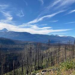 Die Natur erholt sich – trotz der Brandnarben zeigt sich das Tal in einer stillen, rauen Schönheit.