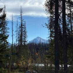 Noch 200m bis zu den Athabasca Falls.