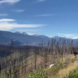 Zikaden sind im Hintergrund zu hören.