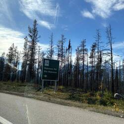 Abzweigung in die Natur – das Schild zur Wabasso Road weist den Weg tiefer in die Berglandschaft.