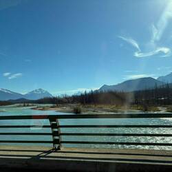 Kontraste der Natur – karges Land mit verkohlten Baumresten trifft auf glitzerndes Gletscherwasser.