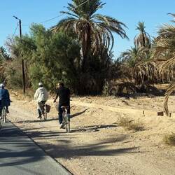 Zwischendurch fahren wir auch auf ganz normalen Straßen 😉