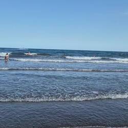 Süßi in freier Wildbahn