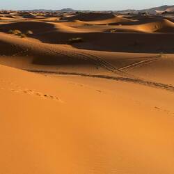 Die Wüste Erg Chebbi im Abendlicht