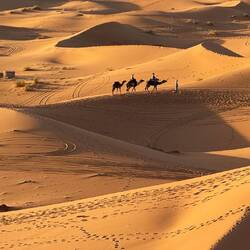 Klassisch mit Kamel ...