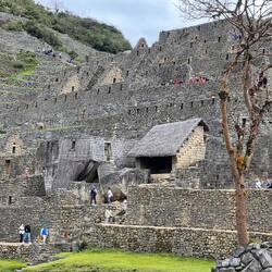 The agricultural area