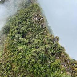 Waynu Pichu mountain ... its Steep and we are headed up it