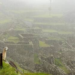 A wet and misty start to the visit