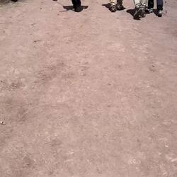 Schnell den nächsten Touri hochbringen