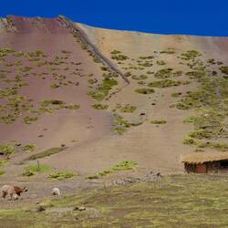 Schon beim Hochlaufen sieht man die ersten Farben...