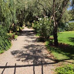 Verdant garden, while around us is semi desert