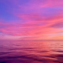 Unglaubliche Farben! 🤩