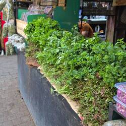 1 cubic meter of parsley