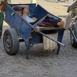 Transporters waiting for customers