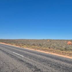Man freut sich über Termitenhügel am Rand