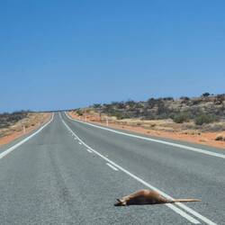 Darüber freut man sich nicht (aber wir sind unschuldig)