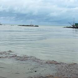 Mündung des Arno ins Mittelmeer