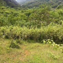 Not much up in the hills