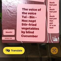 Sometimes Google Translate is worthless